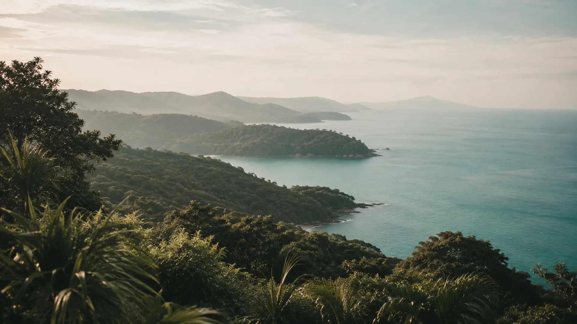 View from a hillside over north Phuket, green headlands and turquoise sea near Bang Tao and Surin, muted natural tones