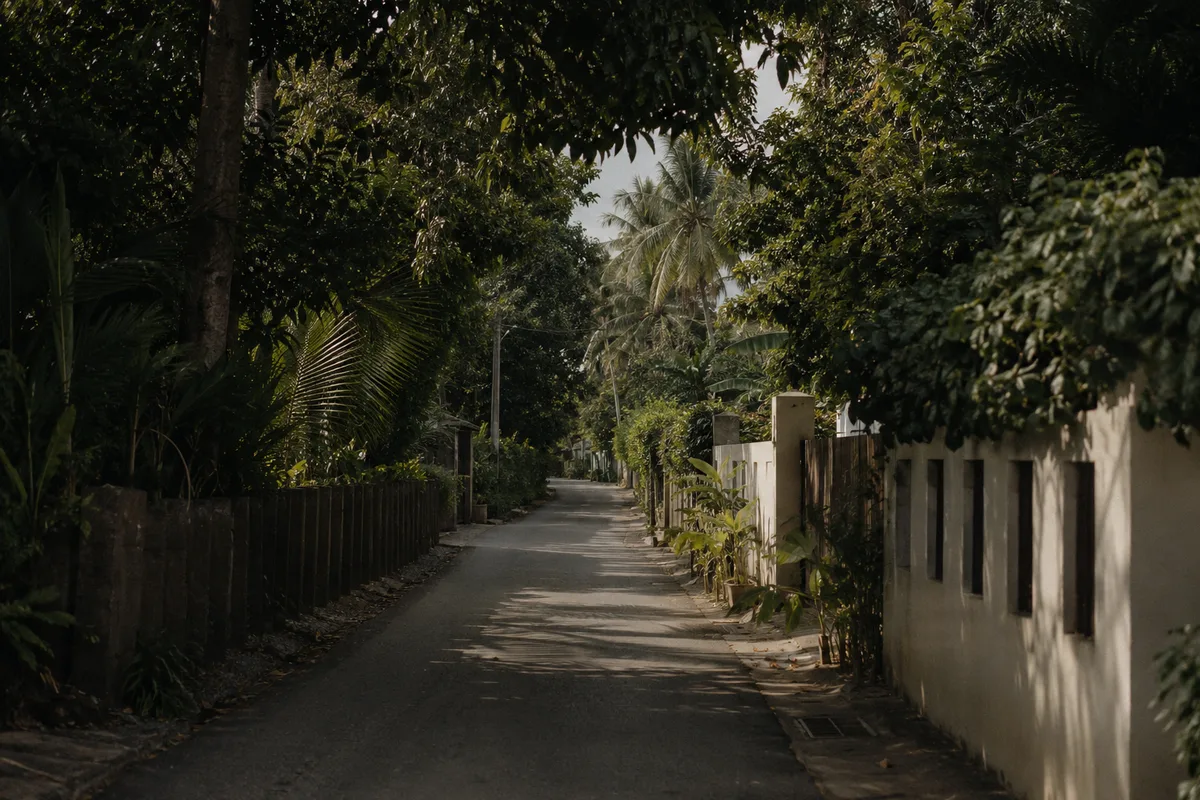 A quiet green lane in south Phuket, dense tropical foliage, calm daylight
